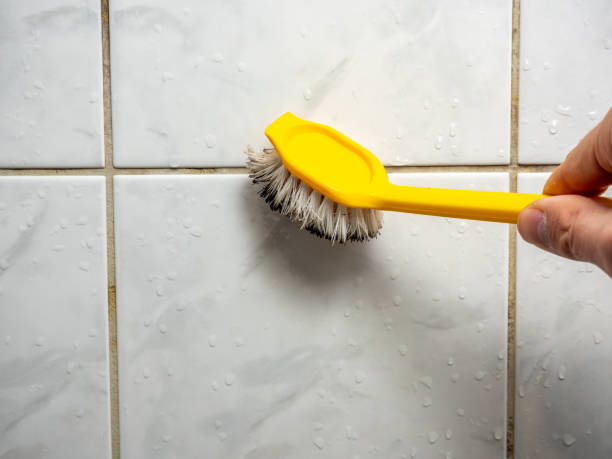 Reliable St Charles, MO Mold Remediation Solutions